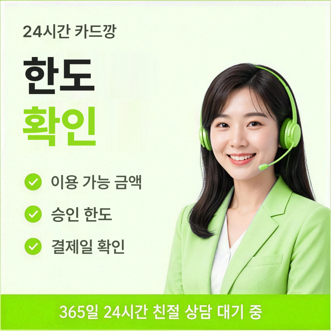 다음머니 24시간 카드깡 한도 확인 안내